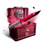 CS2 Case